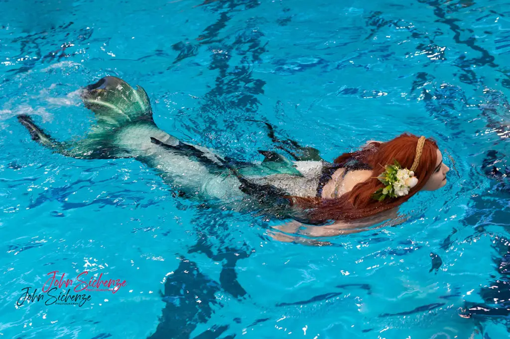 header-mermaid